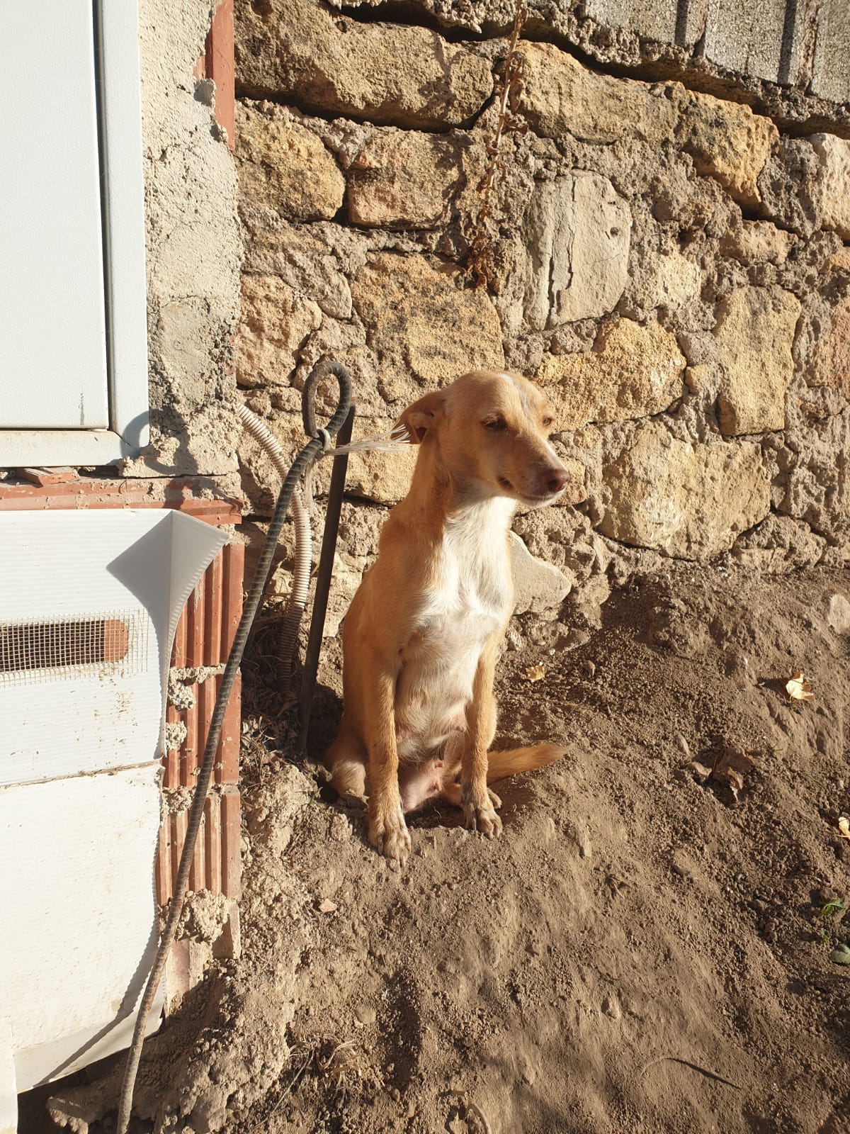 Slide Image